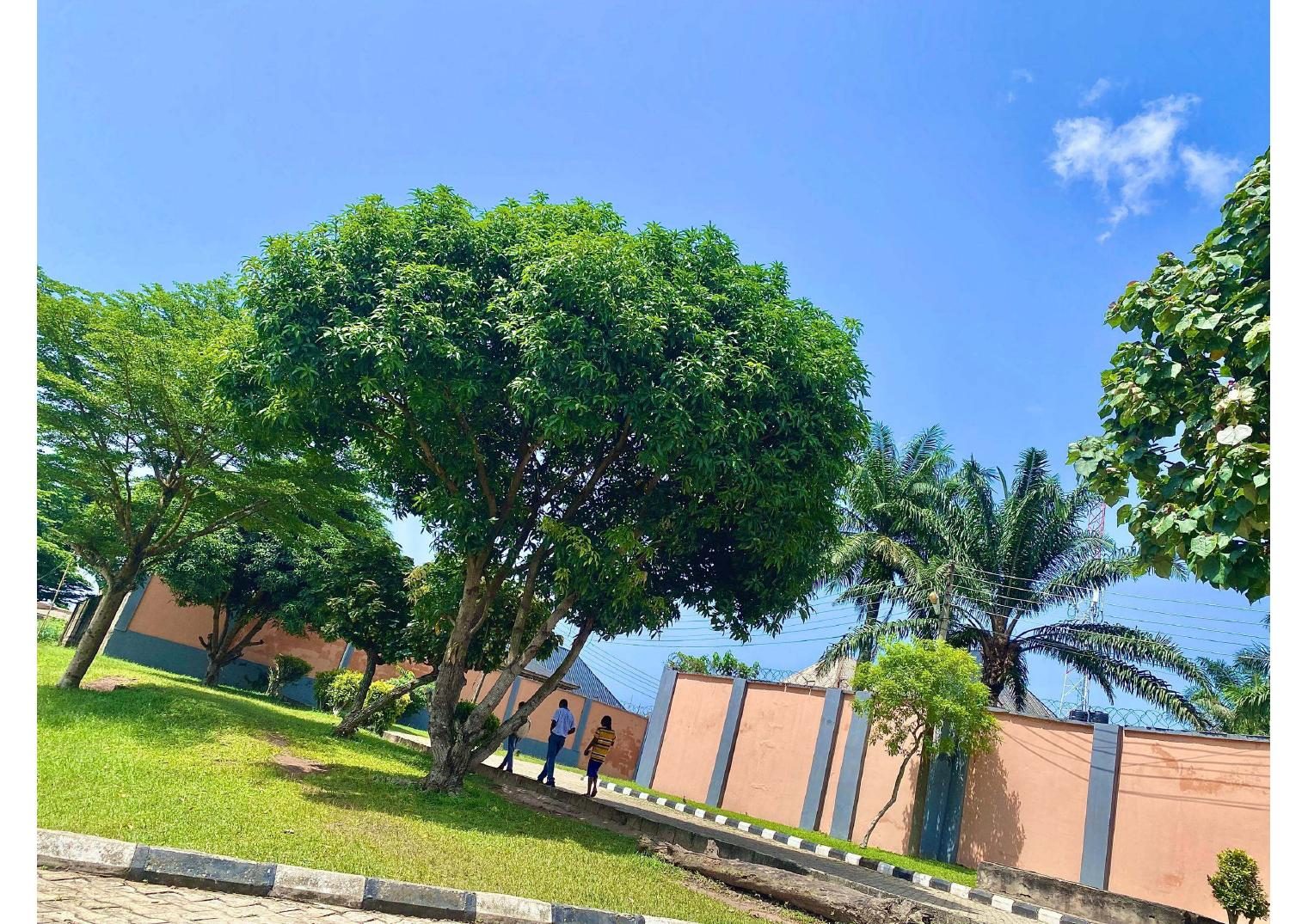 Our Campus